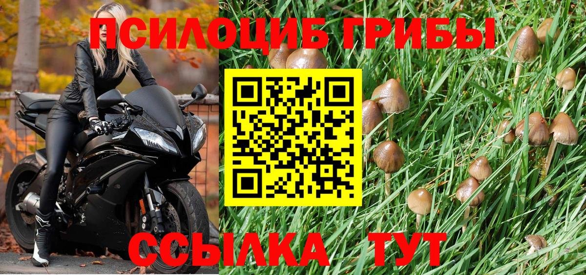 Тавда  Псилоцибиновые грибы GOLDEN TEACHER  Вход с VPN 