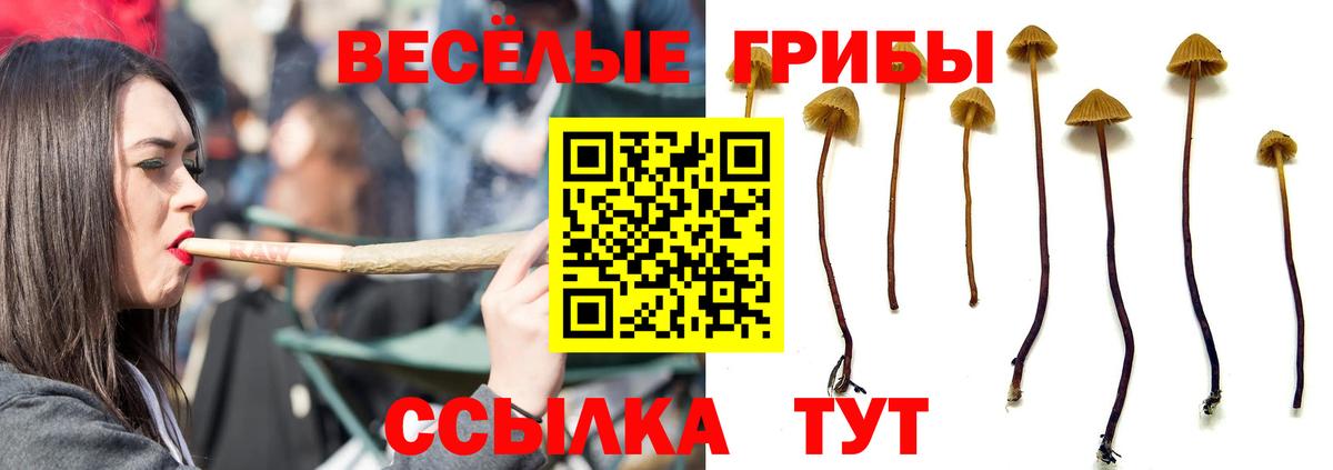 Галлюциногенные грибы прущие грибы Тавда