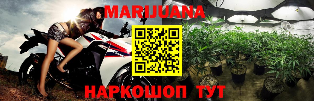 Бошки Шишки ГИДРОПОН Тавда